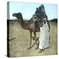 Arab Family on a Camel, Biskra (Algeria)-Leon, Levy et Fils-Stretched Canvas