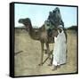 Arab Family on a Camel, Biskra (Algeria)-Leon, Levy et Fils-Framed Stretched Canvas