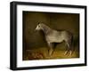 Arab Horse in a loose box, 1860-William Williams-Framed Giclee Print