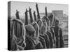 Arab Legion Standing in Formation-null-Stretched Canvas