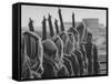 Arab Legion Standing in Formation-null-Framed Stretched Canvas