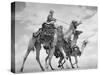 Arab Legionnaries Riding their Camels-John Phillips-Stretched Canvas