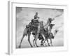 Arab Legionnaries Riding their Camels-John Phillips-Framed Photographic Print