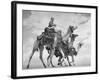 Arab Legionnaries Riding their Camels-John Phillips-Framed Photographic Print