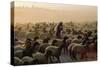 Arab Man Surrounded by Flock of Sheep. A BEDOUIN Herdsman, FLOCK GRAZING NEAR Jer..., 1980S (Photo)-James L Stanfield-Stretched Canvas