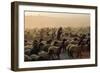 Arab Man Surrounded by Flock of Sheep. A BEDOUIN Herdsman, FLOCK GRAZING NEAR Jer..., 1980S (Photo)-James L Stanfield-Framed Giclee Print