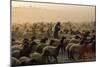 Arab Man Surrounded by Flock of Sheep. A BEDOUIN Herdsman, FLOCK GRAZING NEAR Jer..., 1980S (Photo)-James L Stanfield-Mounted Giclee Print