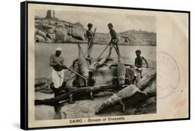 Arab Men with Crocodiles, Cairo, Egypt-null-Framed Stretched Canvas