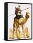 Arab on Camel-Angus Mcbride-Framed Stretched Canvas