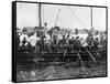 Arab Pearl Divers at Work, 1903-null-Framed Stretched Canvas