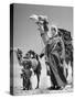 Arab Soldiers Standing Guard with Their Camels-John Phillips-Stretched Canvas