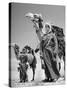 Arab Soldiers Standing Guard with Their Camels-John Phillips-Stretched Canvas