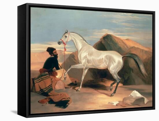 Arab Stallion-Edwin Henry Landseer-Framed Stretched Canvas