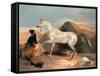 Arab Stallion-Edwin Henry Landseer-Framed Stretched Canvas