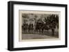 Arab Wedding with Camels, Egypt-null-Framed Photographic Print