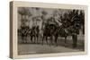 Arab Wedding with Camels, Egypt-null-Stretched Canvas