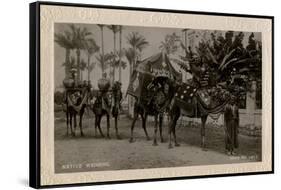 Arab Wedding with Camels, Egypt-null-Framed Stretched Canvas