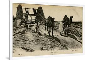 Arab Well with Men and Camels-null-Framed Photographic Print