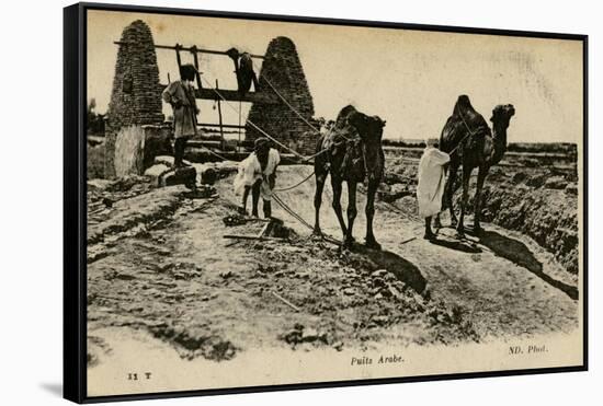 Arab Well with Men and Camels-null-Framed Stretched Canvas