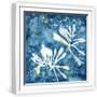 White Frame