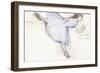 Arabesque Dancer in Profile View, 1885-90-Edgar Degas-Framed Giclee Print