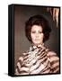 Arabesque, Sophia Loren, 1966-null-Framed Stretched Canvas