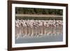 Arabia, Arabian Peninsula, the Persian Gulf-Udo Bernhart-Framed Photographic Print