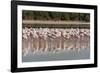 Arabia, Arabian Peninsula, the Persian Gulf-Udo Bernhart-Framed Photographic Print