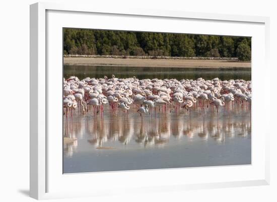 Arabia, Arabian Peninsula, the Persian Gulf-Udo Bernhart-Framed Photographic Print