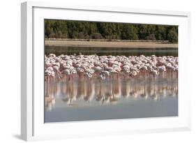 Arabia, Arabian Peninsula, the Persian Gulf-Udo Bernhart-Framed Photographic Print