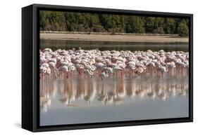 Arabia, Arabian Peninsula, the Persian Gulf-Udo Bernhart-Framed Stretched Canvas