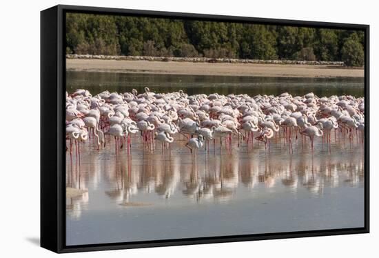 Arabia, Arabian Peninsula, the Persian Gulf-Udo Bernhart-Framed Stretched Canvas