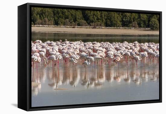 Arabia, Arabian Peninsula, the Persian Gulf-Udo Bernhart-Framed Stretched Canvas