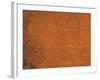 Arabia Region of Mars-Stocktrek Images-Framed Photographic Print