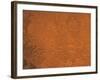 Arabia Region of Mars-Stocktrek Images-Framed Photographic Print