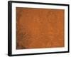 Arabia Region of Mars-Stocktrek Images-Framed Photographic Print