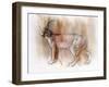 Arabian Caracal, 2009-Mark Adlington-Framed Giclee Print