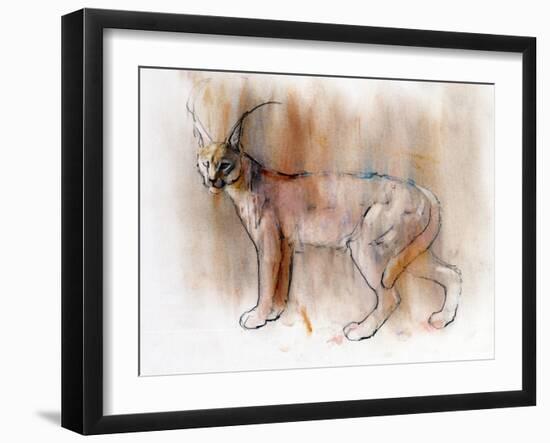 Arabian Caracal, 2009-Mark Adlington-Framed Giclee Print