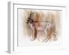 Arabian Caracal, 2009-Mark Adlington-Framed Giclee Print