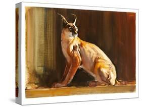 Arabian Caracal, 2010-Mark Adlington-Stretched Canvas