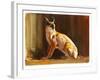 Arabian Caracal, 2010-Mark Adlington-Framed Giclee Print