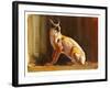 Arabian Caracal, 2010-Mark Adlington-Framed Giclee Print