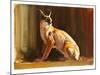 Arabian Caracal, 2010-Mark Adlington-Mounted Giclee Print