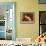 Arabian Caracal, 2010-Mark Adlington-Framed Stretched Canvas displayed on a wall
