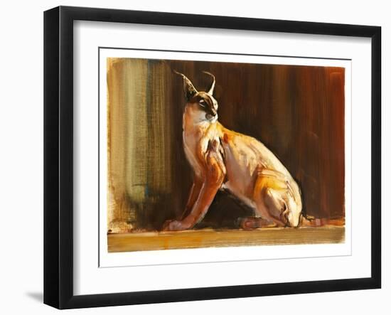 Arabian Caracal, 2010-Mark Adlington-Framed Giclee Print