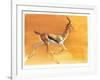 Arabian Gazelle, 2010-Mark Adlington-Framed Giclee Print