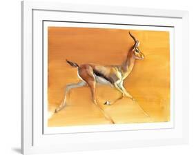 Arabian Gazelle, 2010-Mark Adlington-Framed Giclee Print