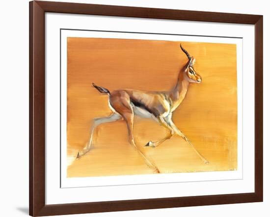 Arabian Gazelle, 2010-Mark Adlington-Framed Giclee Print