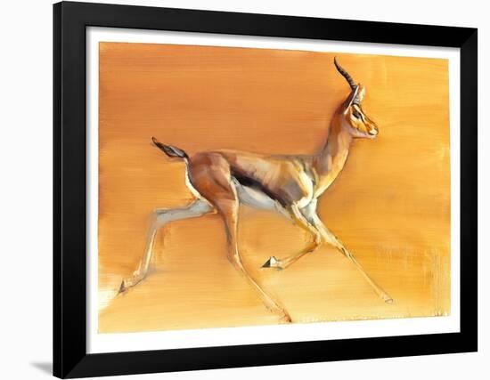 Arabian Gazelle, 2010-Mark Adlington-Framed Giclee Print