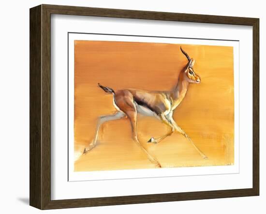 Arabian Gazelle, 2010-Mark Adlington-Framed Giclee Print